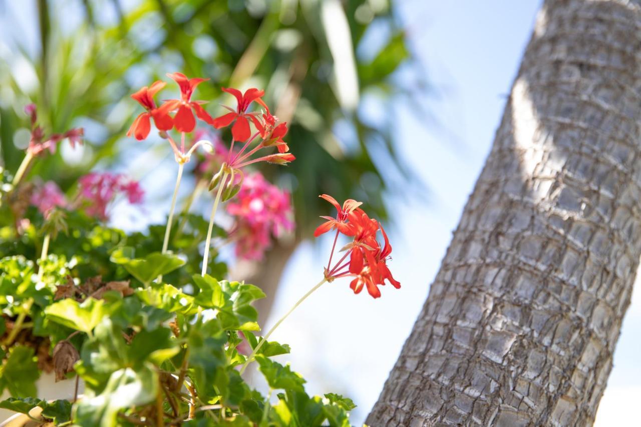 La Lantana Villa Marina di Ragusa