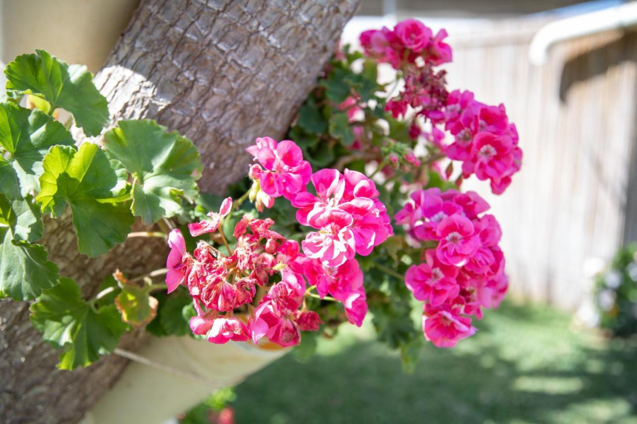 La Lantana Villa Marina di Ragusa